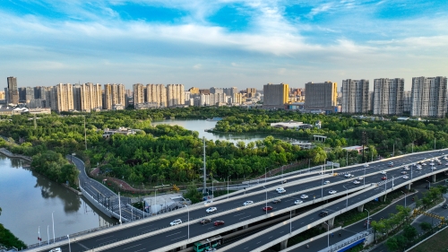 九龙雾景