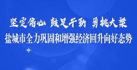 盐城市全力巩固和增强经济回升向好态势专题