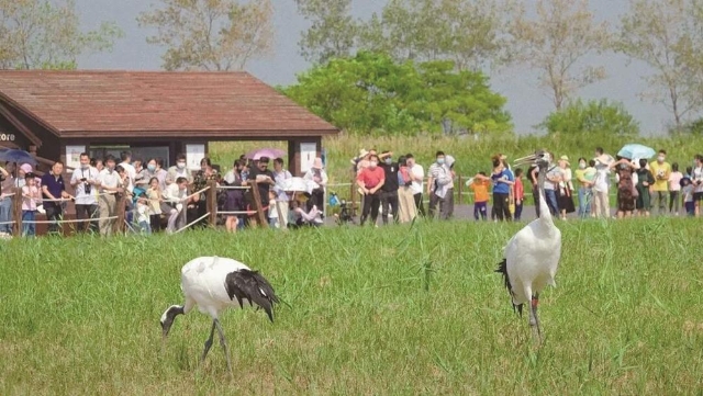 我市发布10条春假研学线路