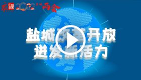 MG动画｜盐城改革开放迸发新活力