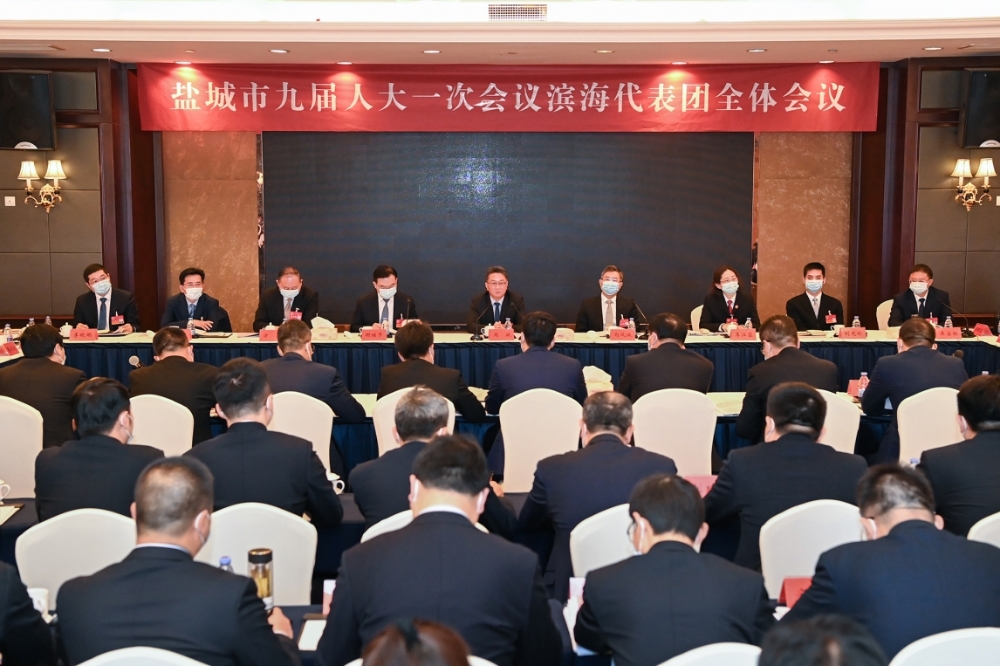 周斌参加滨海、阜宁代表团审议